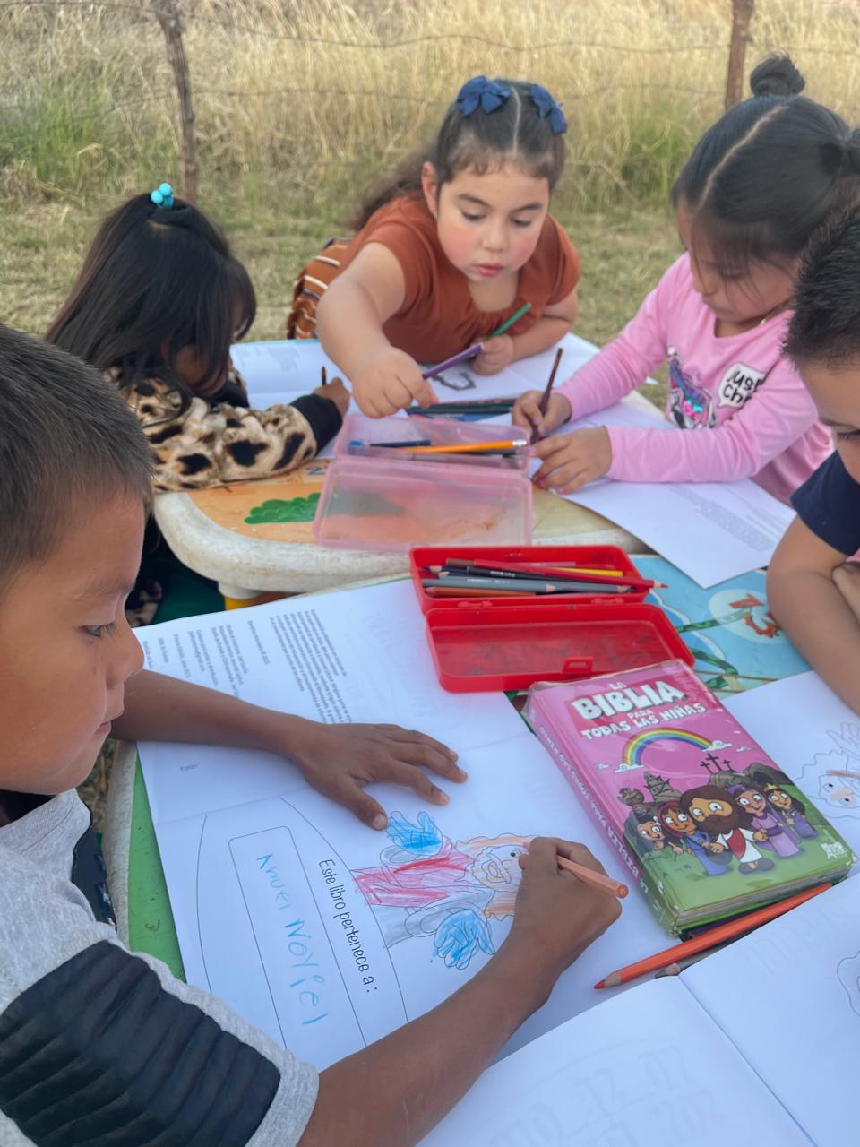 Project activity in Mexico, photo 1.